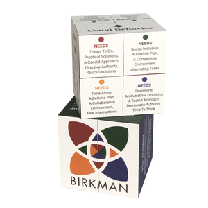 Birkman Cube